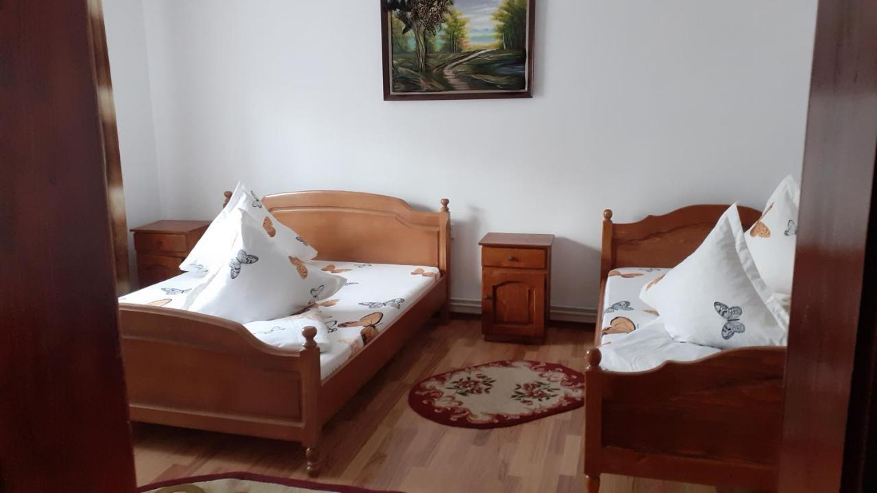 Hotel Casa Nicoleta Gura Humorului Zewnętrze zdjęcie
