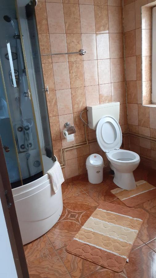 Hotel Casa Nicoleta Gura Humorului Zewnętrze zdjęcie