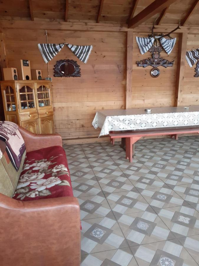 Hotel Casa Nicoleta Gura Humorului Zewnętrze zdjęcie